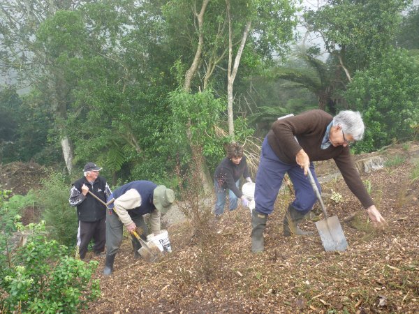 Some of the Tuesday group.  July 2011. Cambridge Tree Trust